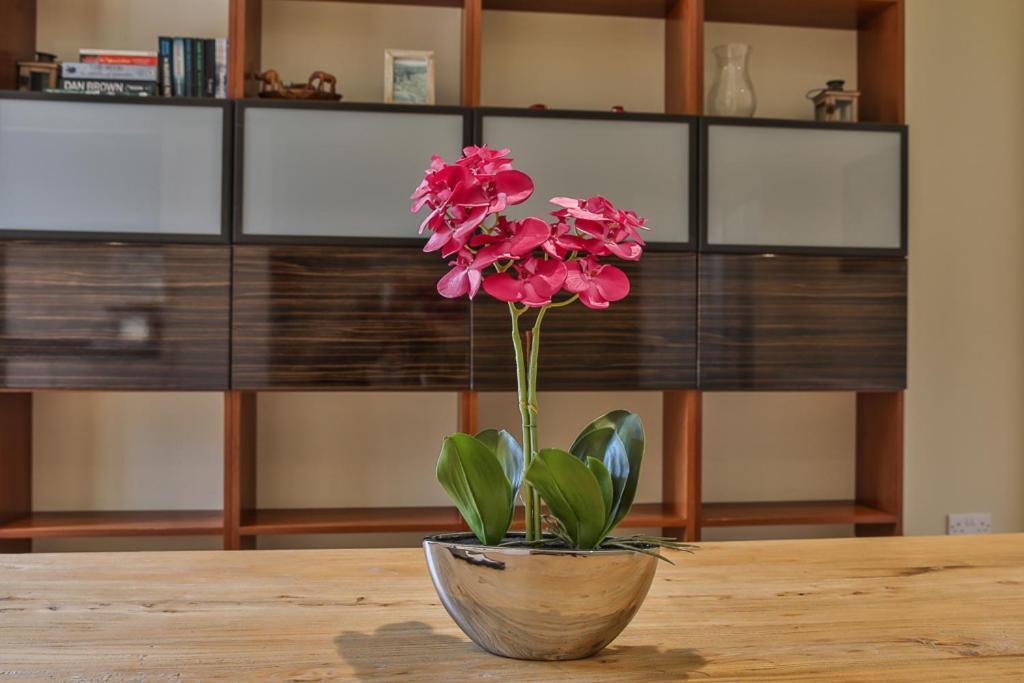 Refurbished Central Premium Property Sheffield Exteriör bild